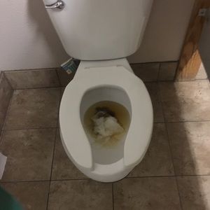 Meet your Posher, Steve